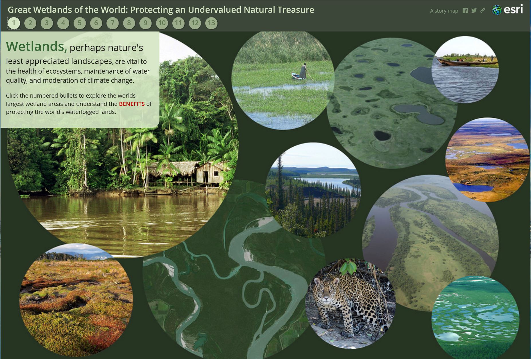 Wetland Story Map Sample